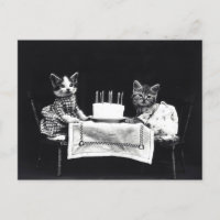 Gatinhos de Aniversário