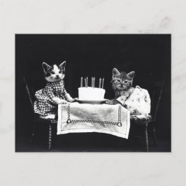 Cartão Postal Gatinhos de Aniversário