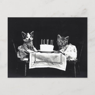 Cartão Postal Gatinhos de Aniversário