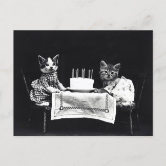 Cartão Postal Gatinhos de Aniversário