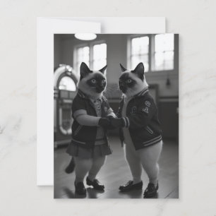 Cartão Postal Gatinhos de Salto