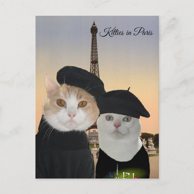 Cartão Postal Gatinhos em Paris (Frente)