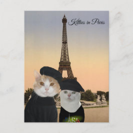 Cartão Postal Gatinhos em Paris