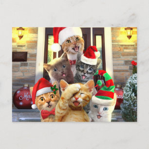 Cartão Postal Gatinhos engraçados no Dia de Natal