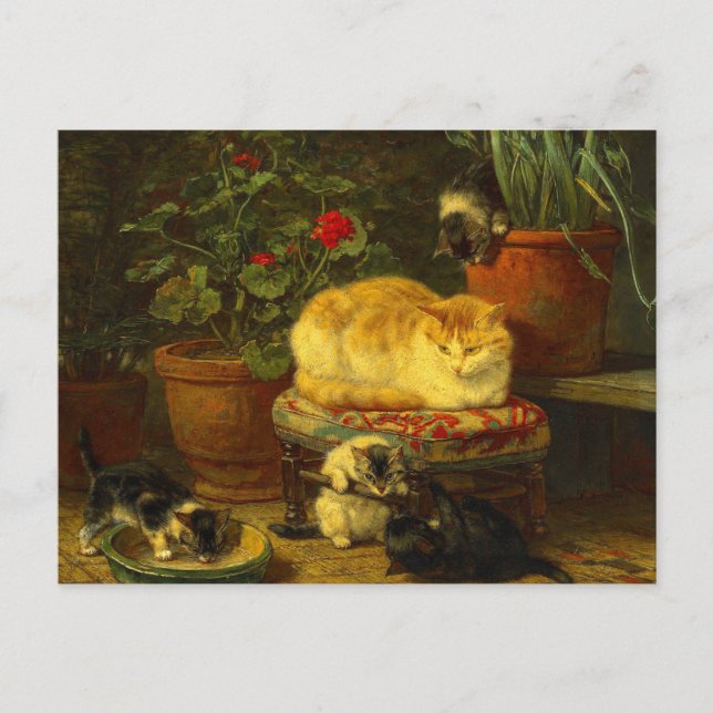 Cartão Postal Gatinhos no Play (Frente)
