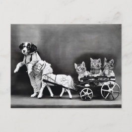 Cartão Postal Gatinhos numa Carruagem