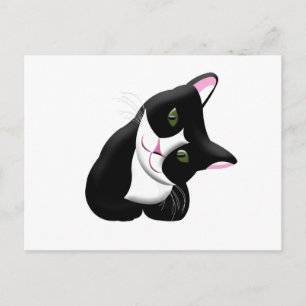 Cartão Postal Gato
