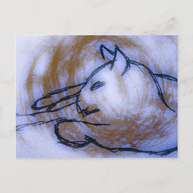 Cartão Postal Gato (Frente)
