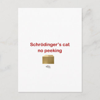 Cartão Postal gato