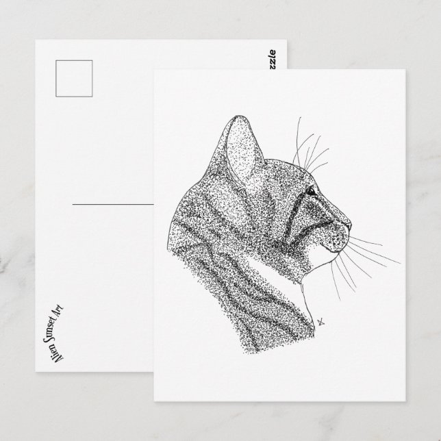 Cartão Postal gato (Frente/Verso)