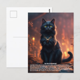 Cartão Postal Gato