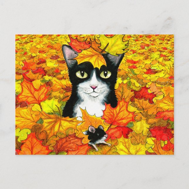 Cartão Postal gato 447 (Frente)