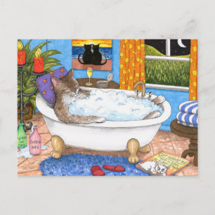 Cartão Postal gato 567