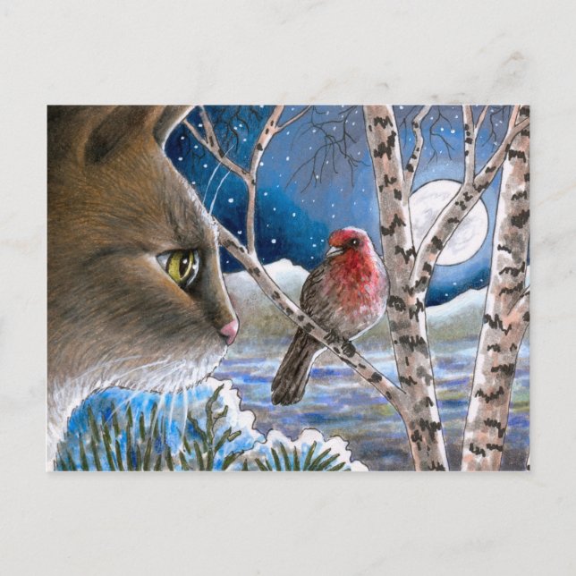Cartão Postal Gato 600 ave (Frente)