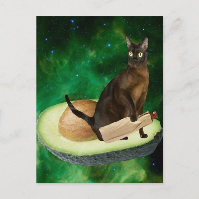 Cartão Postal gato abacado (Frente)