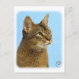 Cartão Postal Gato Abissino 9Y009D-032
