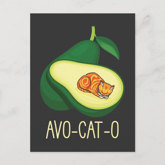 Cartão Postal Gato adormecido Avocado Foguete Vegetal (Frente)