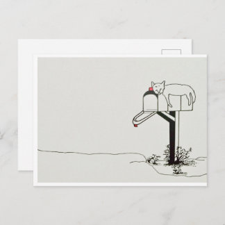 Cartão Postal Gato Adormecido Esperando por Correspondência