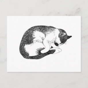 Cartão Postal Gato Adormecido – Lembrete Suave para Descansar