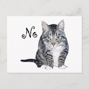 Cartão Postal Gato American Shorthair - Não