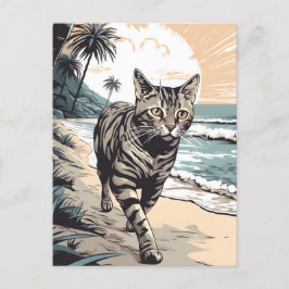Cartão Postal Gato americano-de-praia em uma praia tropical
