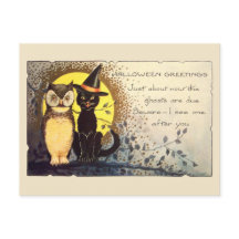 Gato Amigável e Coruja do Início do Século XX no H