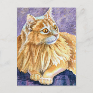 Cartão Postal Gato Angora Creme