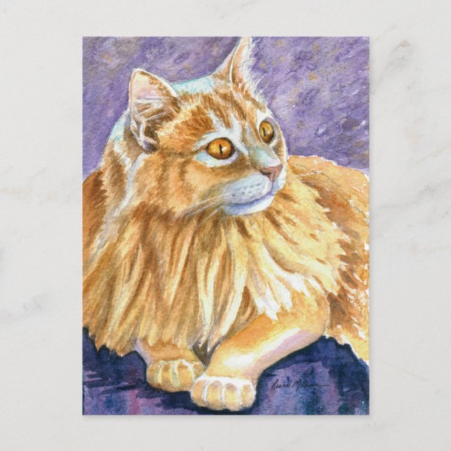 Cartão Postal Gato Angora Creme (Frente)