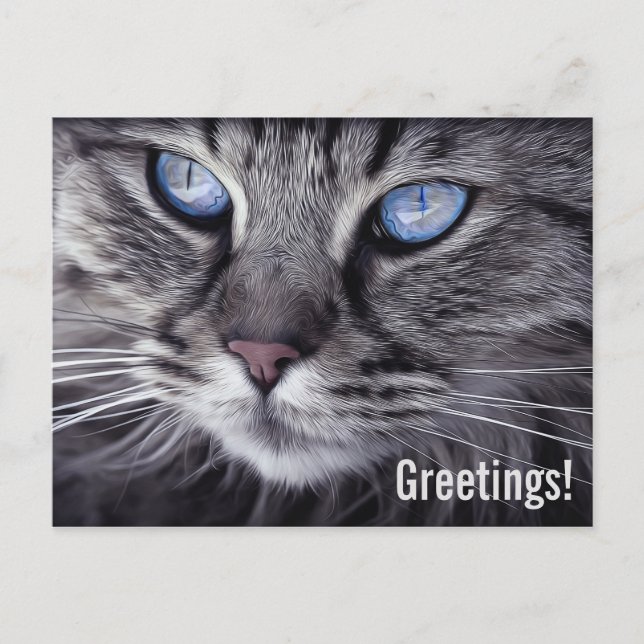 Cartão Postal Gato Angorá Fofo  (Frente)