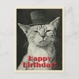 Cartão Postal Gato Antigo de Cartola Feliz Aniversário