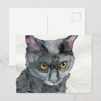 Cartão Postal Gato Aquarela