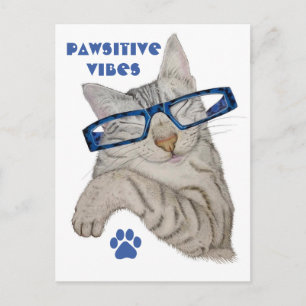Cartão Postal Gato Bonito Em Espetas Víblias Pawsitivas Positiv