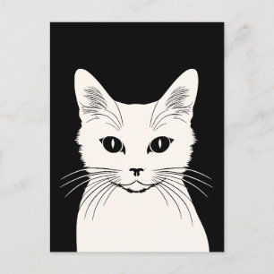 Cartão Postal Gato branco