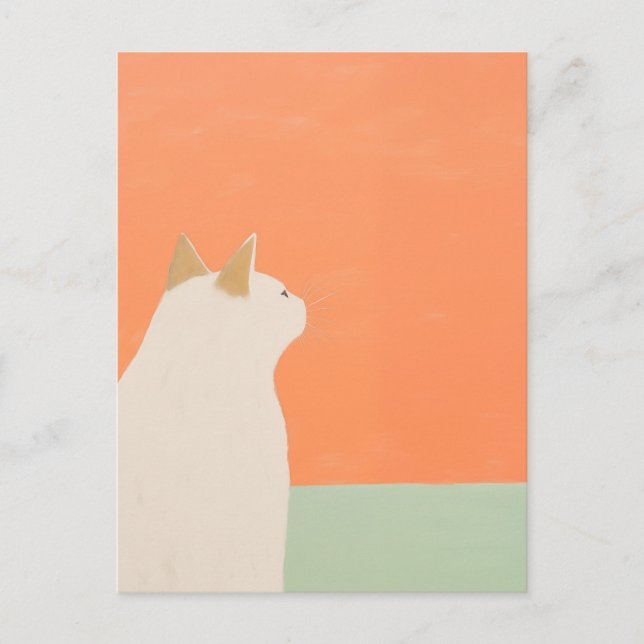 Cartão Postal Gato Branco (Frente)