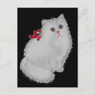 Cartão Postal Gato Branco