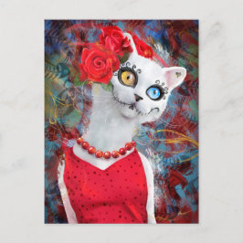 Cartão Postal Gato branco com rosas