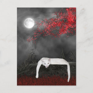 Cartão Postal Gato branco de Halloween