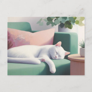 Cartão Postal Gato Branco Dormindo no Sofá Verde/Pentes de Gato