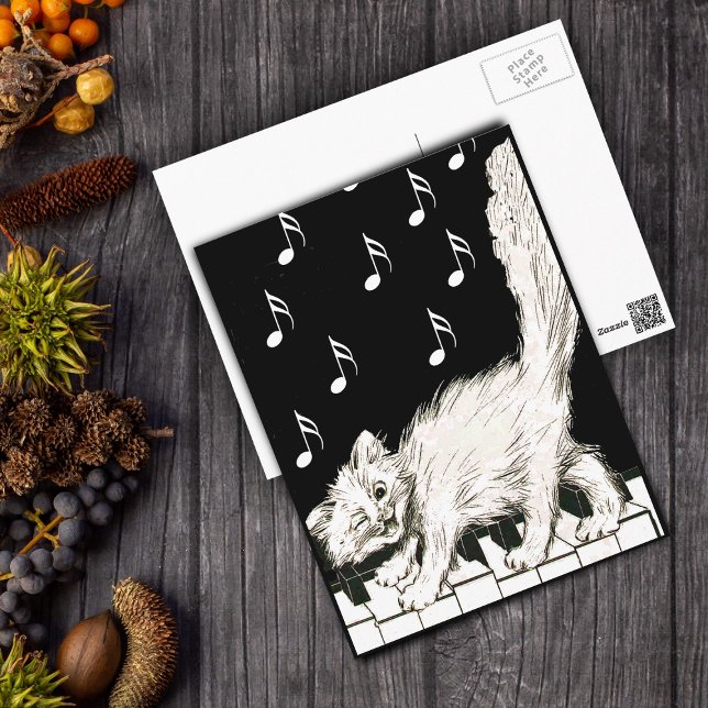 Cartão Postal Gato Branco em Chaves Piano (White winking cat walking on piano keys music notes on black and white post card.)