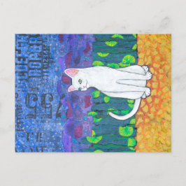 Cartão Postal Gato Branco Odd
