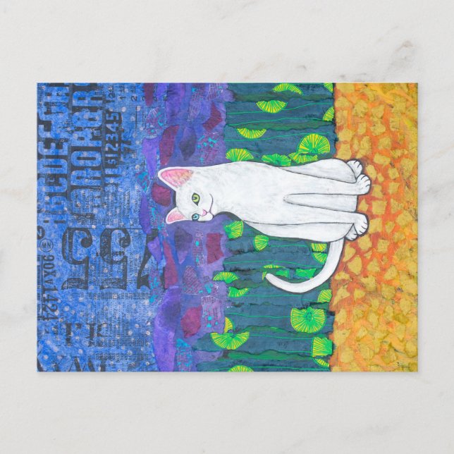 Cartão Postal Gato Branco Odd (Frente)