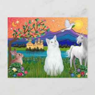 Cartão Postal Gato Branco - Terra Fantástica