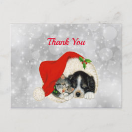 Cartão Postal Gato Cachorro Bonito Chapéu de Papai Noel Natal Ob