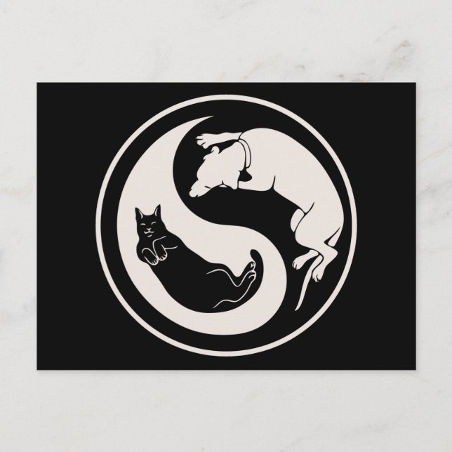 Cartão Postal Gato-Cão Yin-Yang (Frente)