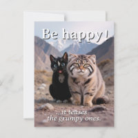 Gato Cheerful vs. Gato Grumpy - Humor