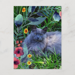 Cartão Postal Gato Cinzento Felpudo no Jardim com Flores
