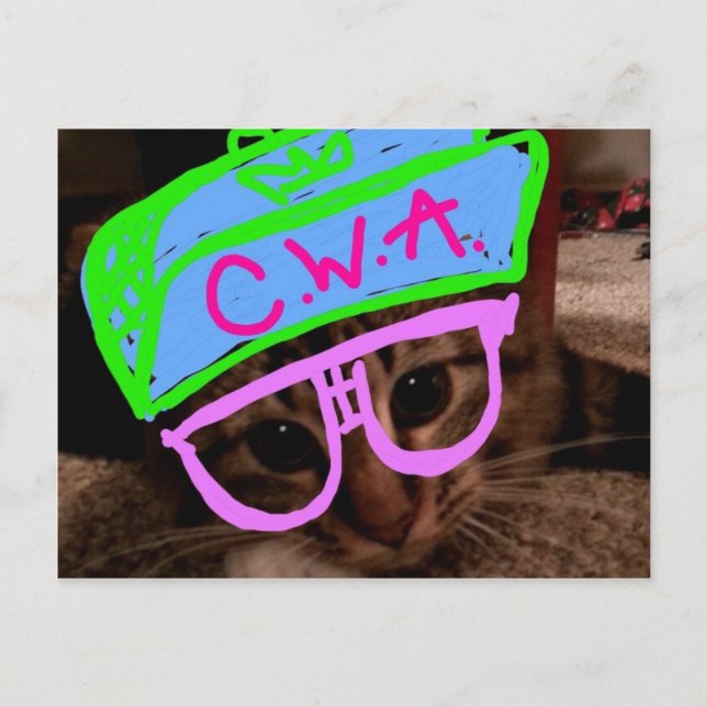 Cartão Postal Gato com atitude (Frente)