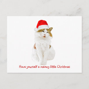 Cartão Postal Gato com chapéu do papai noel