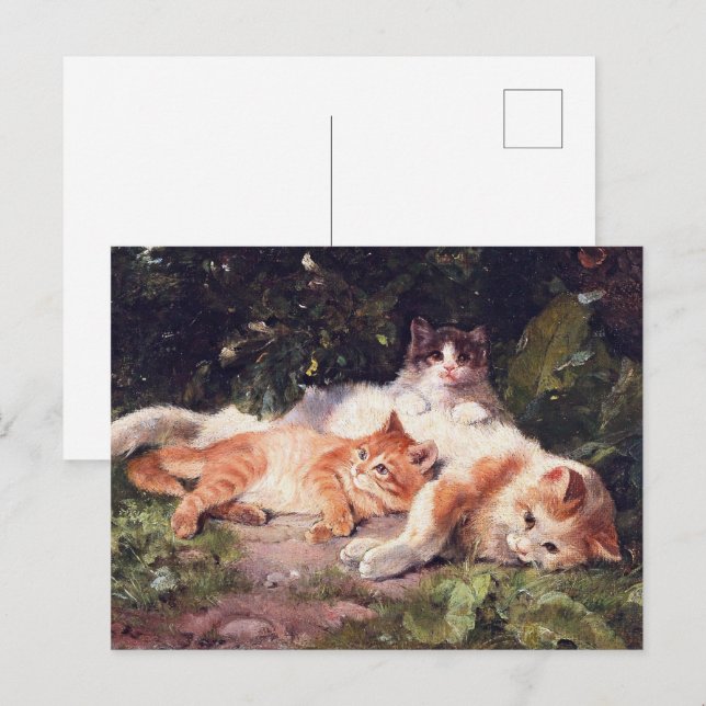 Cartão Postal Gato com Gatinhos de Arte Bela (Frente/Verso)