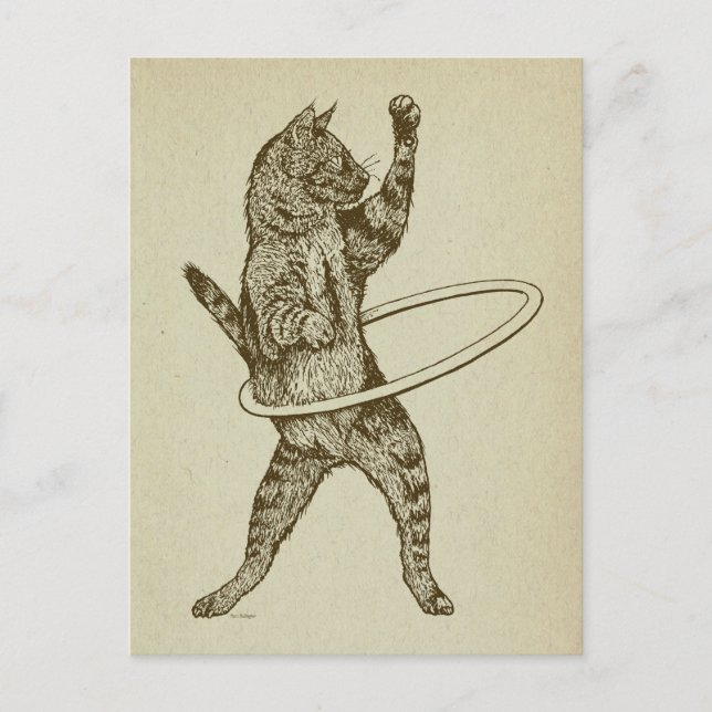 Cartão Postal Gato com Hoop Hula (Frente)